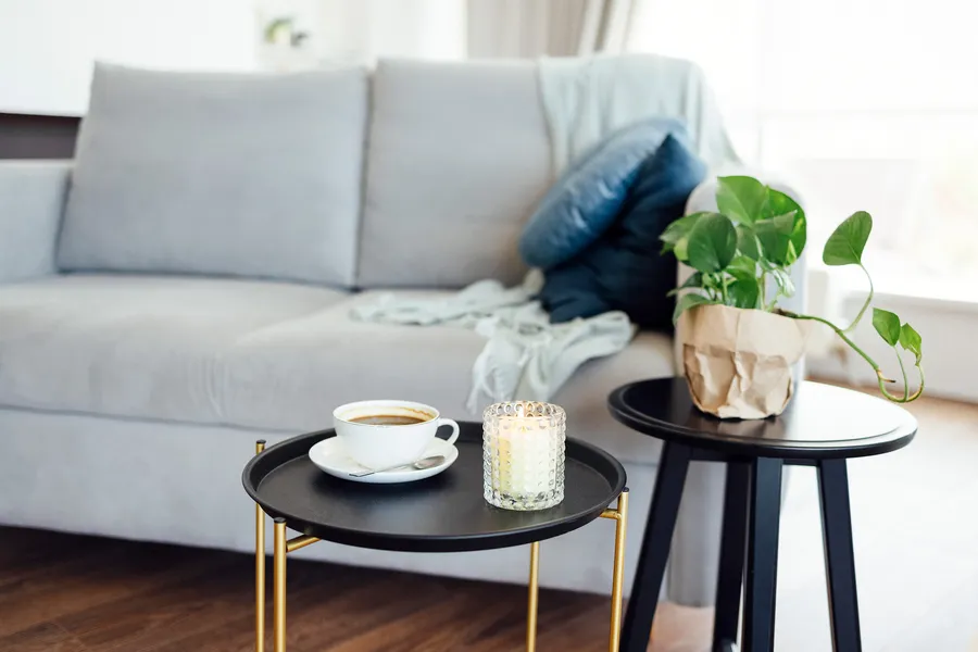 Apartment Features