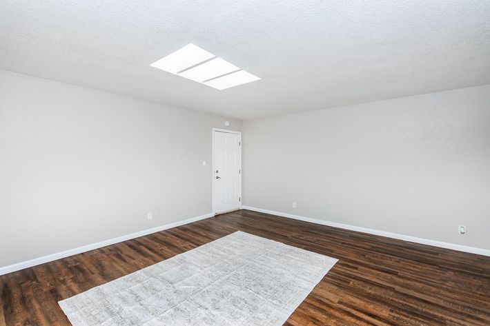 A spacious, empty room with light gray walls and dark wooden flooring. A skylight provides natural light from above, and there is a white door on one side. A neutral-colored area rug is placed in the center of the room. The overall atmosphere is bright and minimalistic.