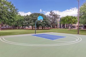 a close up of a basketball game in a park