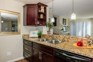 A modern kitchen featuring dark wood cabinets, a granite countertop with double sinks, stylish light fixtures, and decorative items like a potted plant and colorful dishware. The reflection in the mirror showcases a bright and inviting living area with large windows.