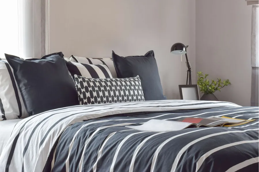 Apartment Features