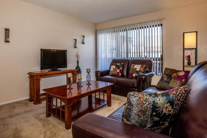 A cozy living room featuring a dark brown leather sofa with patterned throw pillows, a wooden coffee table with candles, and a TV on a wooden stand. Sunlight streams through vertical blinds, illuminating the soft carpet and walls adorned with decorative accents.