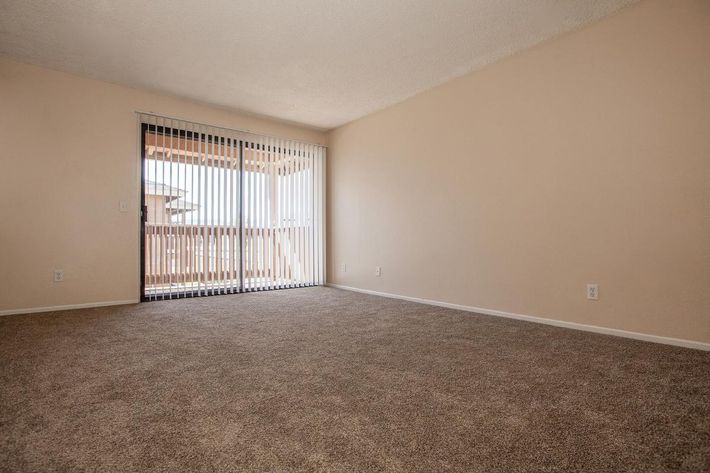 A vacant living room with light beige walls and plush, light brown carpet. A sliding glass door with vertical blinds leads to a balcony, allowing natural light to fill the space. The room is sparsely furnished, creating an open and spacious feel.