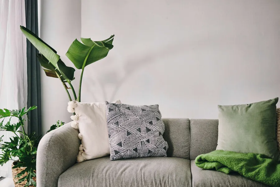 Apartment Features