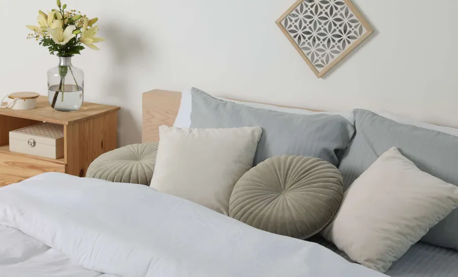 Apartment Features