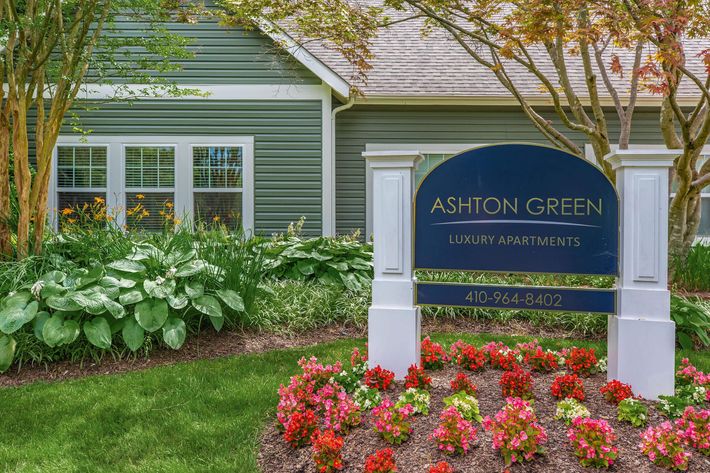 a close up of a flower garden in front of a building