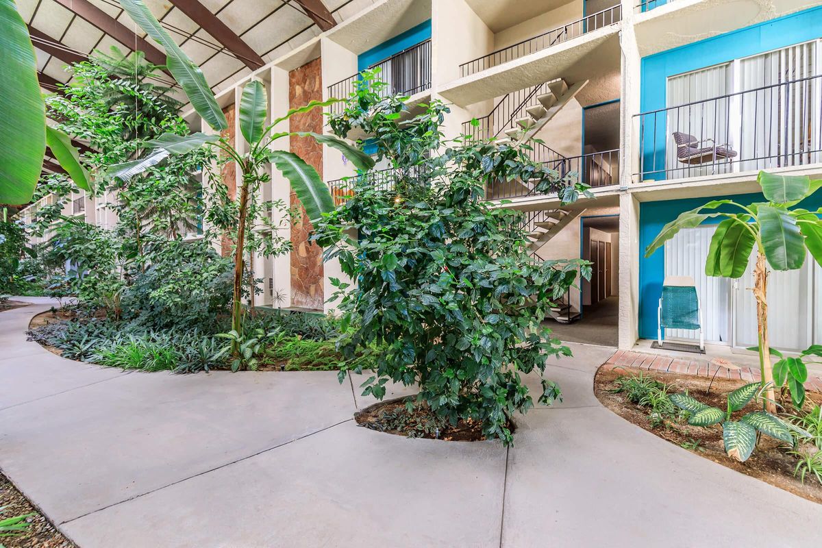 a green plant in front of a building