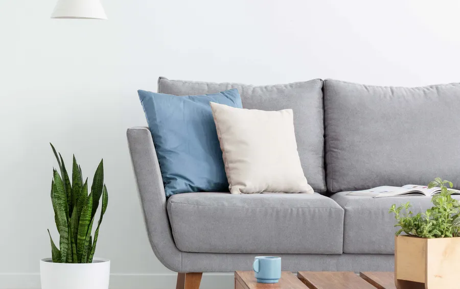Apartment Features