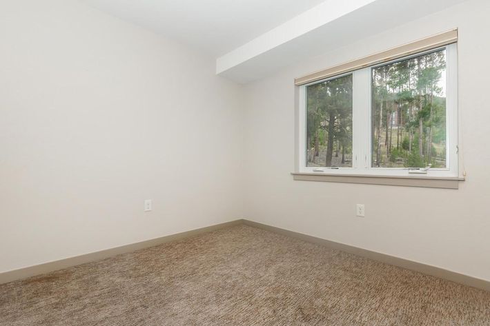 A vacant room with light-colored walls and a large window that provides a view of trees outside. The floor is covered with carpet, and there are no furnishings in the space, giving it an open, minimalist appearance. Natural light brightens the room's interior.
