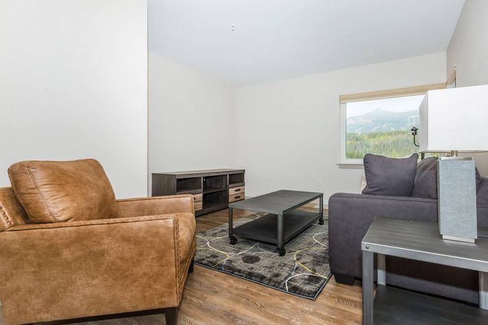A cozy living room featuring a brown leather armchair and a gray sofa. A rectangular coffee table sits in the center, surrounded by a patterned area rug. There is a modern TV stand against the wall, and a window in the background offers a view of green trees and mountains outside.