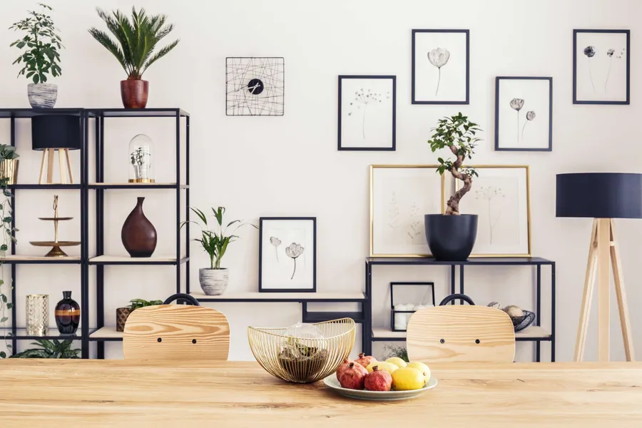 Apartment Features
