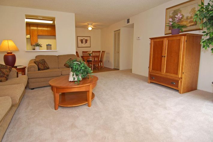 a living room filled with furniture on top of a wooden floor
