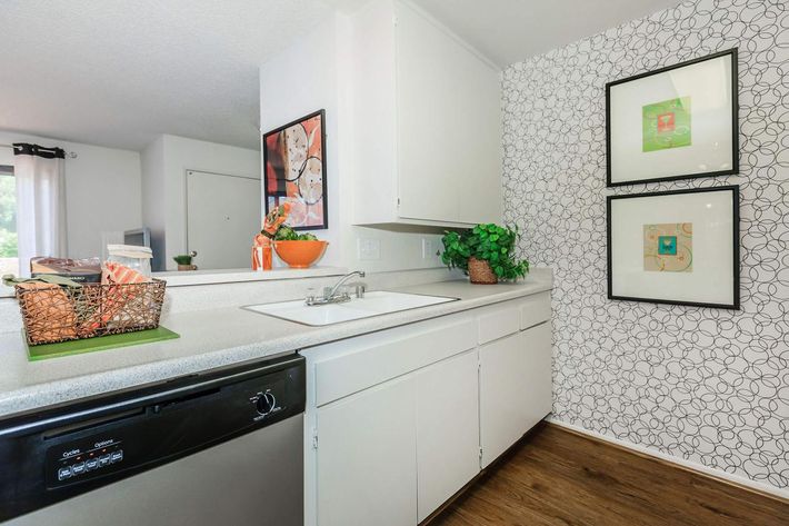 Modern kitchen featuring a white countertop and cabinets, a stainless steel dishwasher, and decorative items like plants and artwork. The walls have a patterned design, and there are framed pictures and a fruit bowl on the counter, creating a bright and inviting atmosphere.