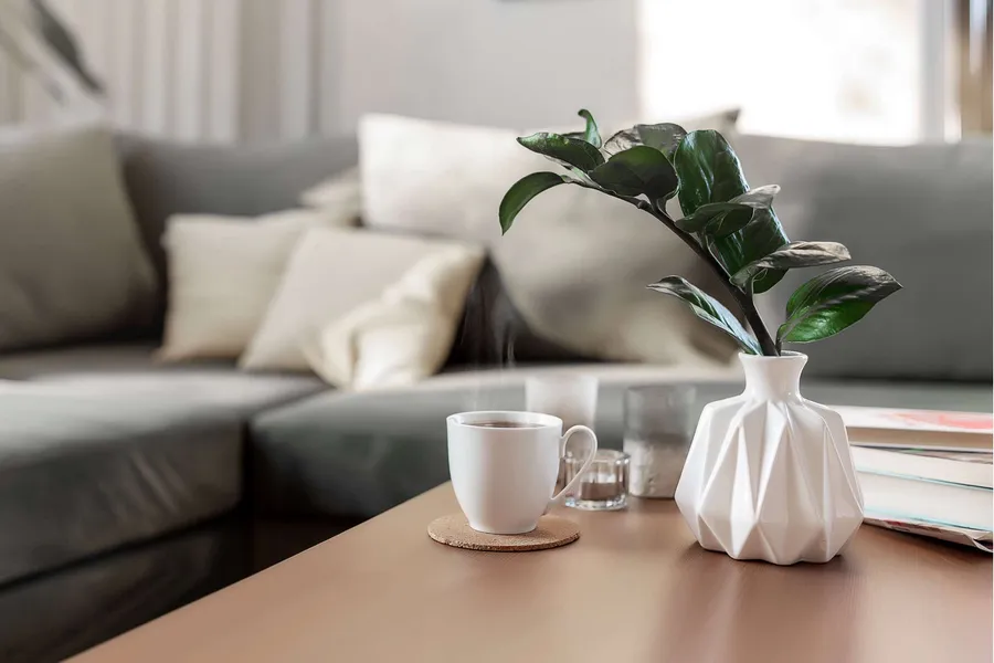 Apartment Features