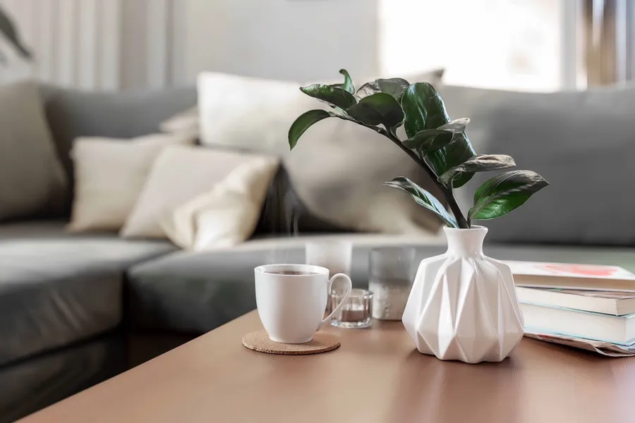 Apartment Features
