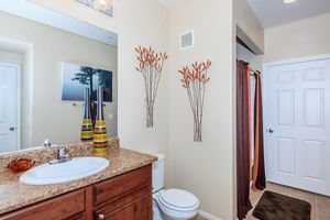 A well-decorated bathroom featuring a white sink with a brown countertop, a toilet, and a shower curtain in earthy tones. There are two tall decorative vases in green and orange on the countertop, and two leaf-patterned wall decorations. A mirror and a piece of artwork are visible on the wall.