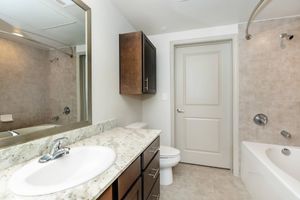 a double sink and large mirror