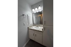 a sink and a mirror