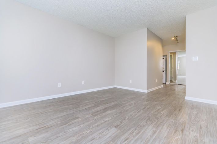 A spacious, recently renovated interior of a room with light gray walls and smooth, light wood-like flooring. Natural light fills the space from a doorway in the background, highlighting the clean and minimalistic design. The room is empty, providing a blank canvas for potential furnishings and decor.
