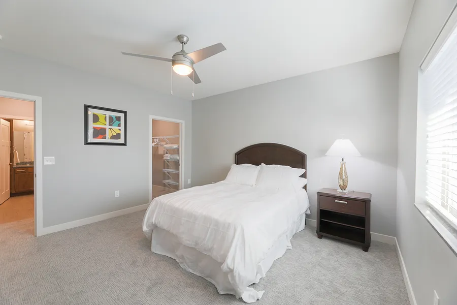 Apartment Features
