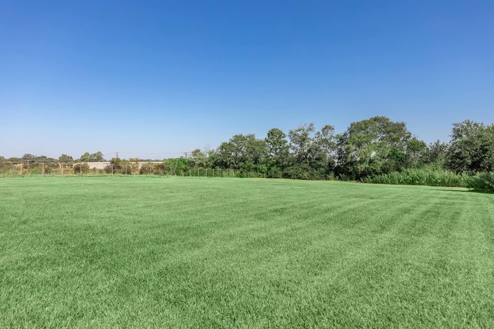 a close up of a lush green field