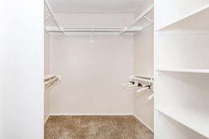 A spacious, empty walk-in closet featuring white shelving and hanging rods. The walls are a light color, and the carpeted floor adds warmth to the space. Ideal for organization, the closet has ample room for clothing and accessories.