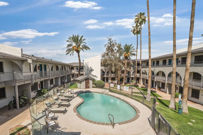 a group of palm trees with a building in the background