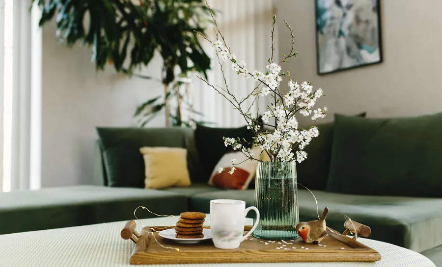 Apartment Features