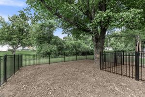 a tree in a fenced in area