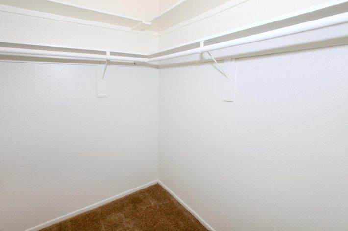 Walk-in closet with carpet