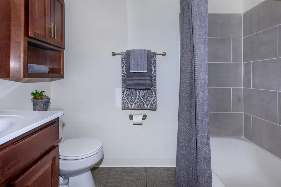 Apartment Features