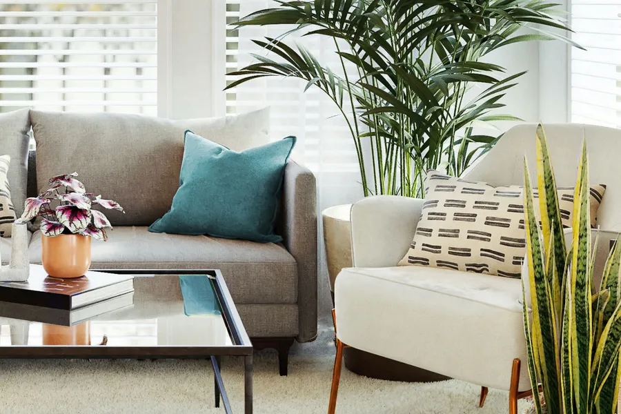 Apartment Features