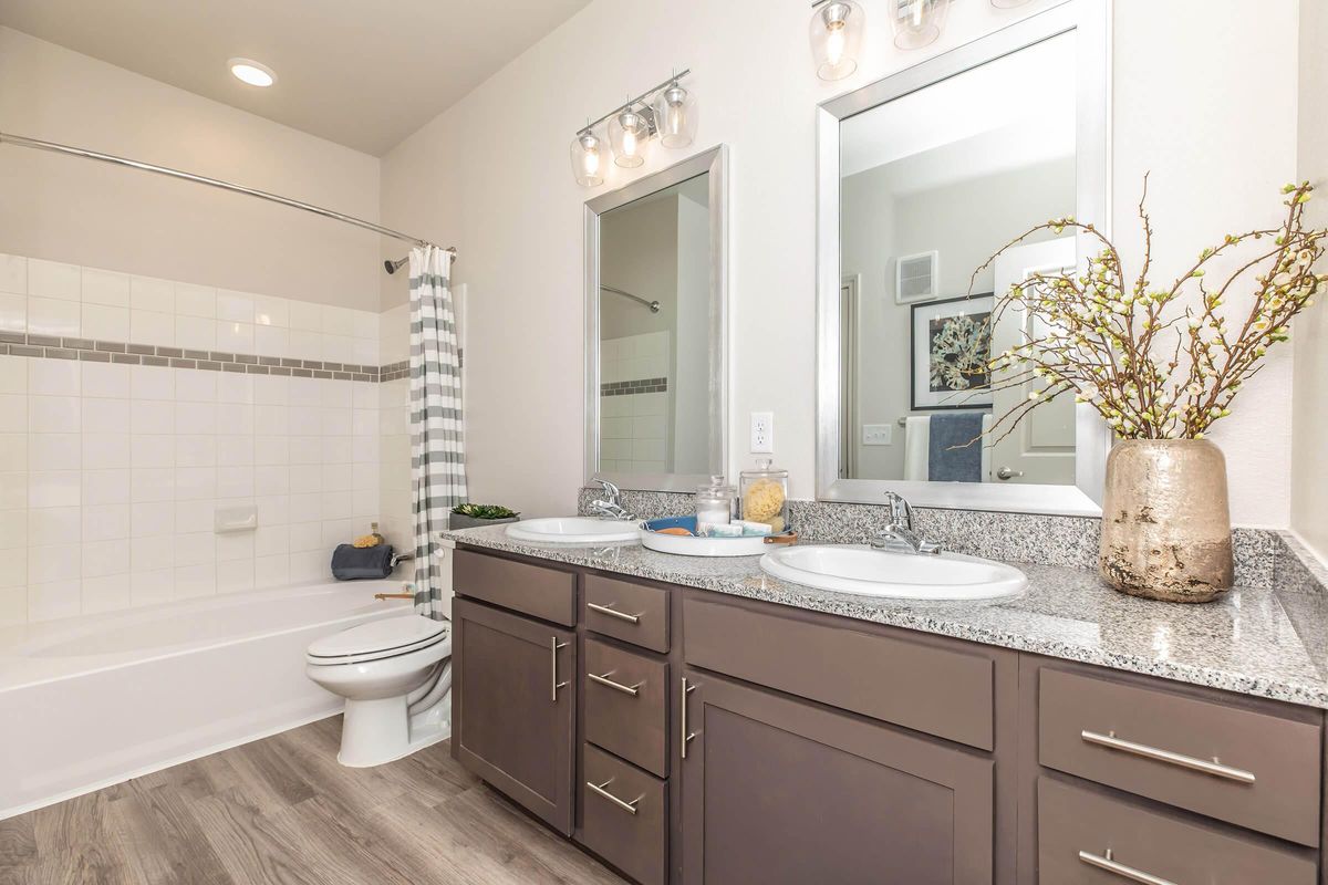 A modern bathroom featuring a double vanity with undermount sinks, dark cabinetry, and a large mirror. There is a bathtub with a shower curtain in the background, a neatly arranged countertop with decorative items, and a vase with branches. Bright lighting enhances a clean and spacious feel.