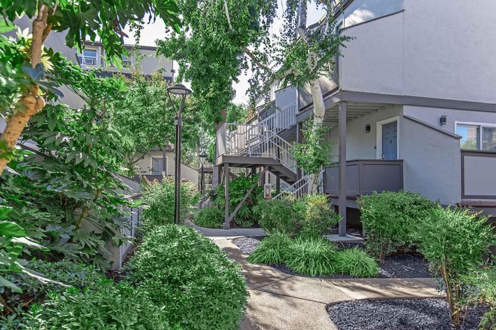 a house with bushes in the background