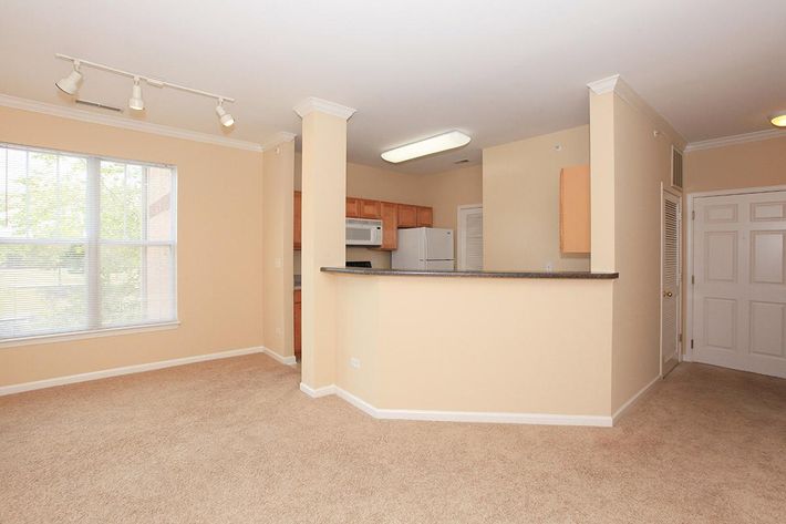 Bright and spacious living area with beige walls and carpet, featuring a kitchen bar counter that overlooks the room. A large window allows natural light to enter, enhancing the open space. The kitchen includes a refrigerator and other appliances against wooden cabinets.