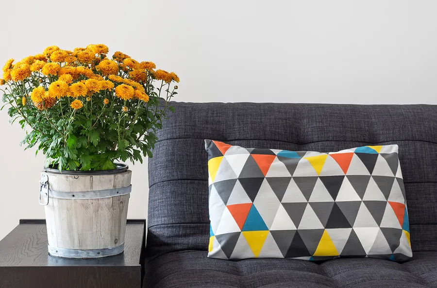 Apartment Features