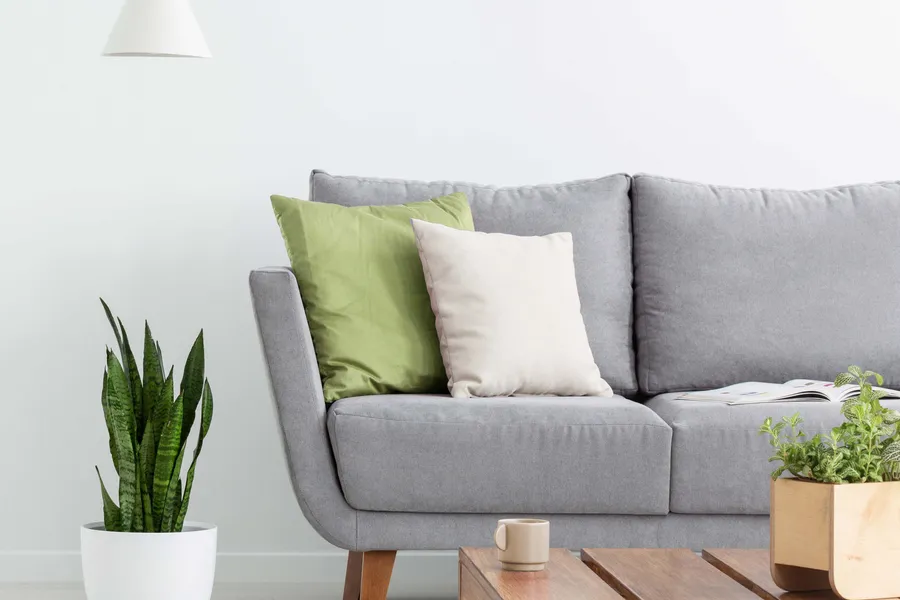 Apartment Features