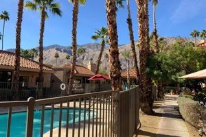 a group of palm trees and a fence