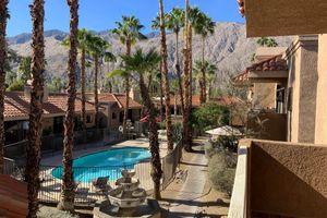 a pool next to a palm tree