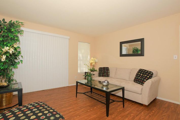 a living room with a wood floor