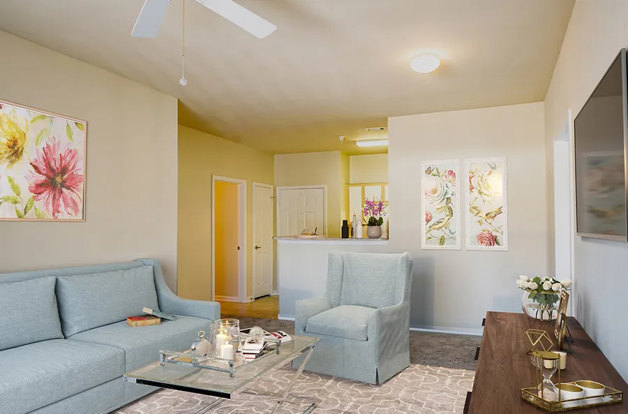Apartment Features