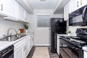 A modern kitchen featuring white cabinets, a double sink, black appliances including a refrigerator and stove, and a small decorative plant on the countertop. Natural light filters through a window with blinds, and a light-colored rug is positioned on the floor for added comfort.