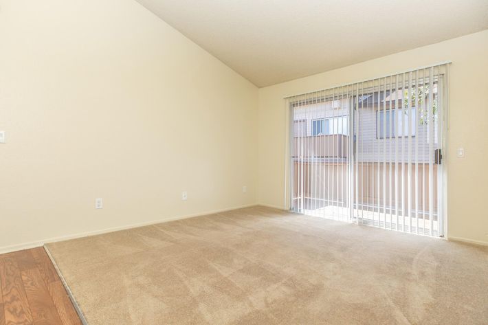 Carpeted living room