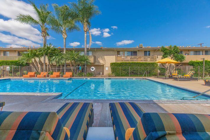 Multi-colored chairs next to the community pool