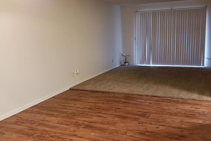 Spacious interior of a room featuring a wooden floor on one side and carpeted area on the other. Large sliding glass door with vertical blinds allows natural light to enter, illuminating the space. A potted plant is positioned near the door. Walls are painted white, creating a bright and airy atmosphere.