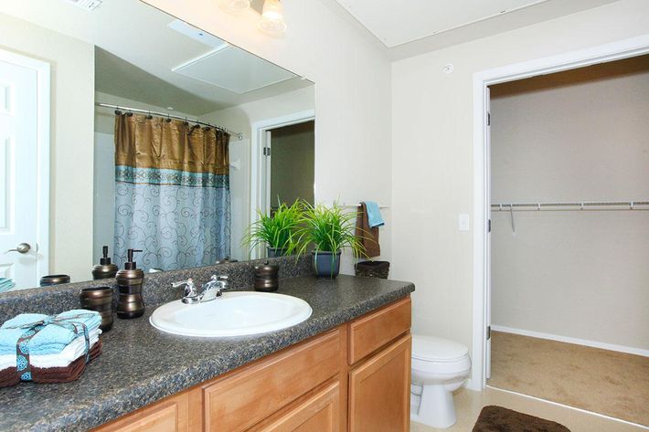 A well-lit bathroom featuring a dark countertop with a sink and decorative items like towels and baskets. A shower curtain with a blue and brown design hangs in the shower area. A door leads to a closet, and there are potted plants for decoration. The walls are a soft beige color.