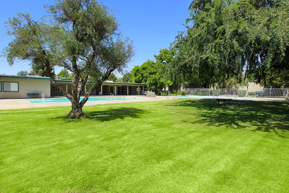 beautiful landscaping with pool in the background.