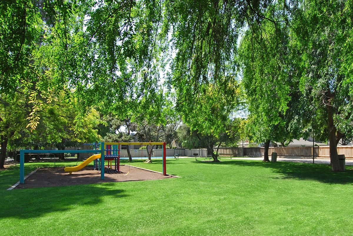 mature trees in the play area.