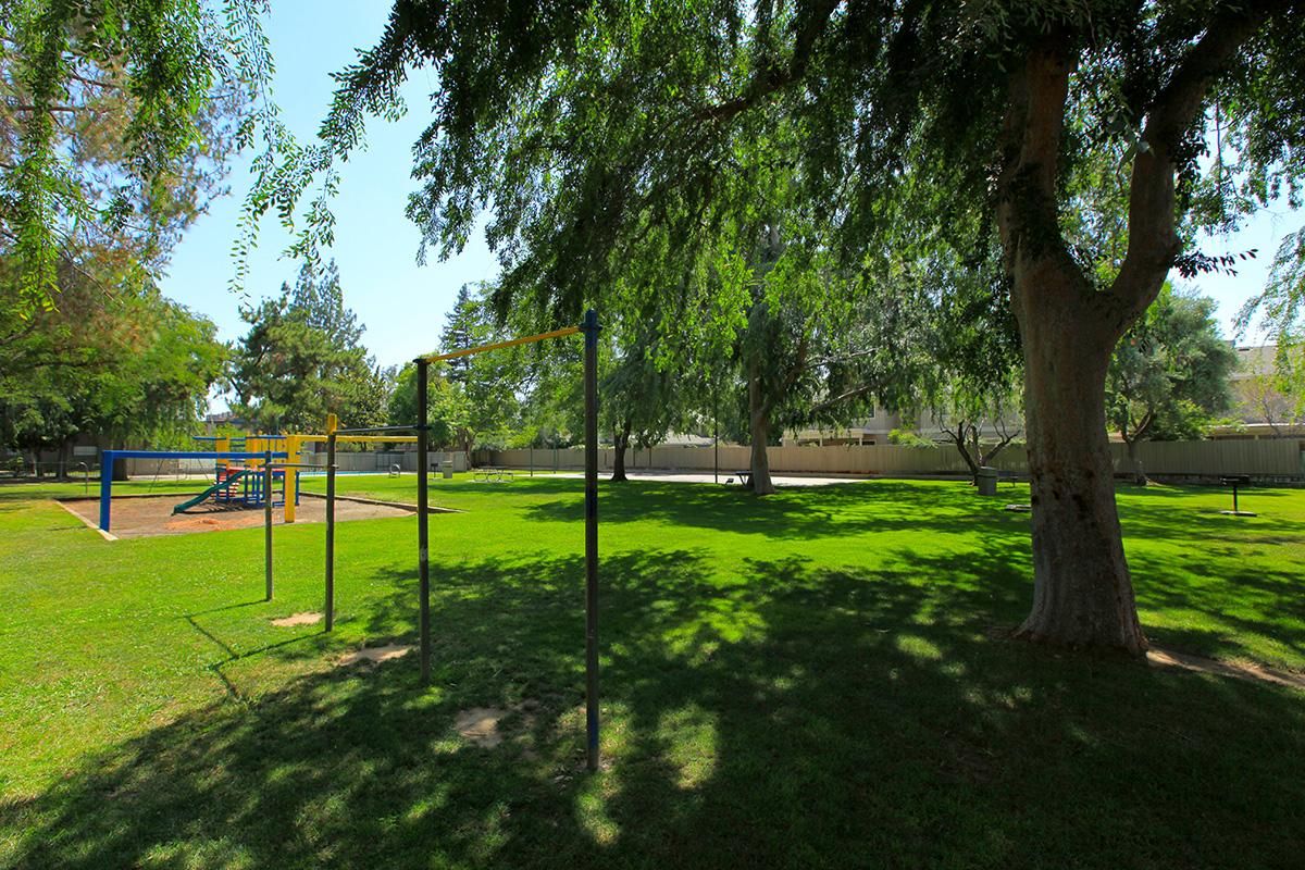 play area with large shade trees.