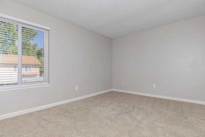 Empty room with light beige walls and carpeted floor. A large window with white blinds lets in natural light, revealing greenery outside. The space is undecorated, creating a blank canvas for potential furnishings and personalization.